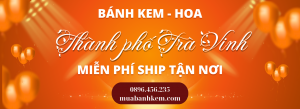 TIỆM BÁNH SINH NHẬT TẠI THÀNH PHỐ TRÀ VINH FREESHIP